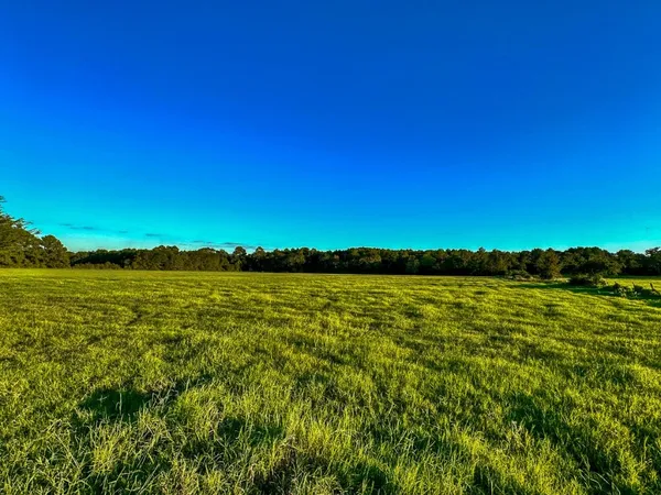 $998,999 | T-5 Hoke Road, Richards, TX 77873