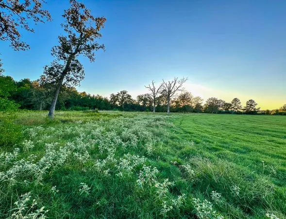 $998,999 | T-5 Hoke Road, Richards, TX 77873