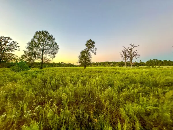 $998,999 | T-5 Hoke Road, Richards, TX 77873