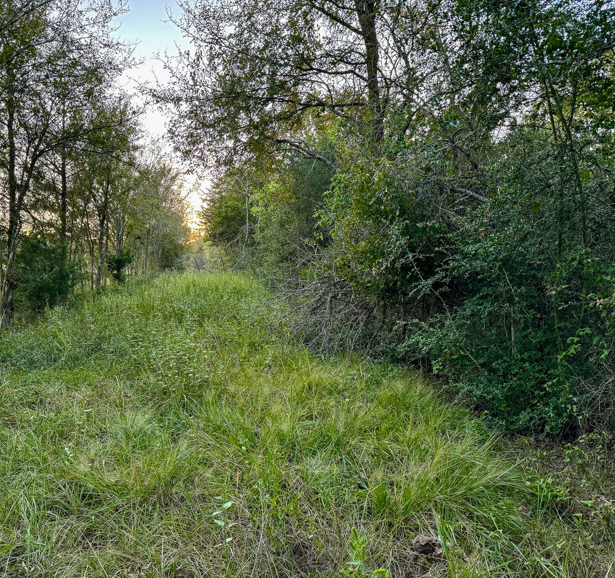 T-5 Hoke Road Richards, TX 77873 - Photo 28 of 33