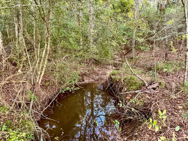 $1,000,000 | T-5 Hoke Road, Richards, TX 77873