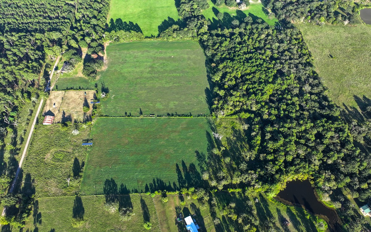 T-5 Hoke Road Richards, TX 77873 - Photo 31 of 33