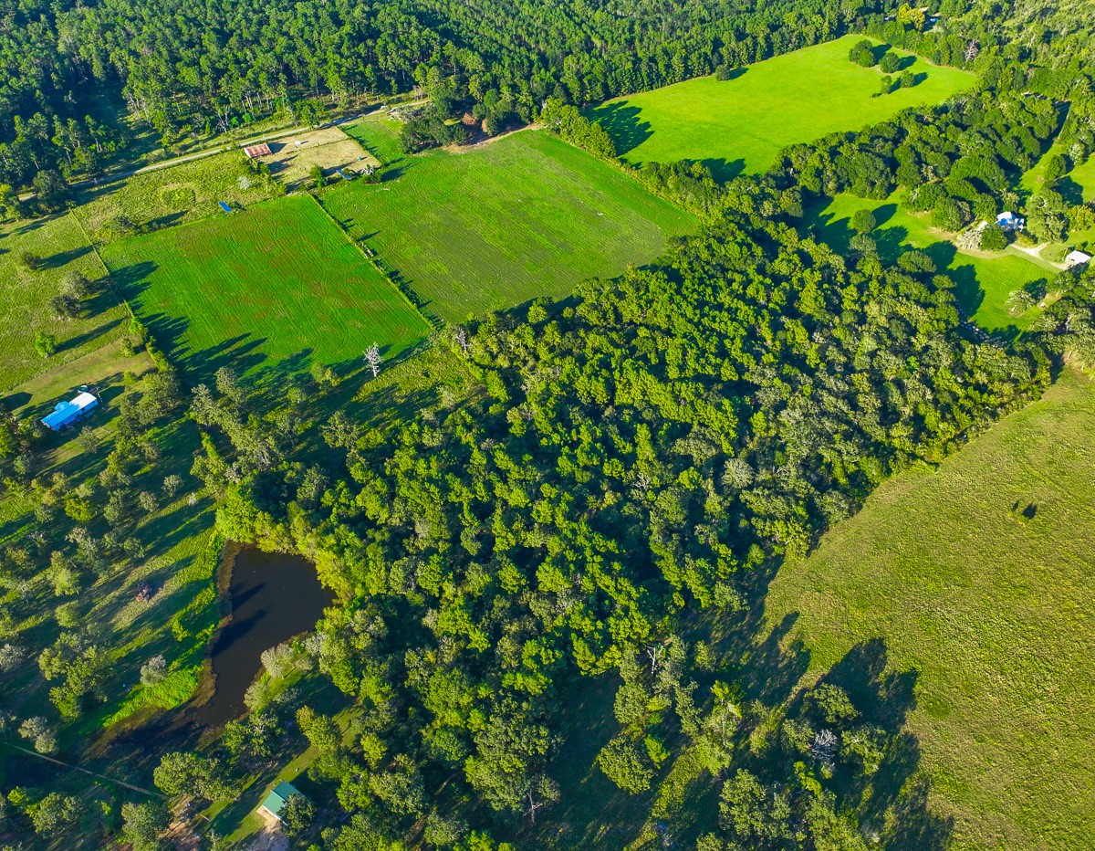 T-5 Hoke Road Richards, TX 77873 - Photo 33 of 33