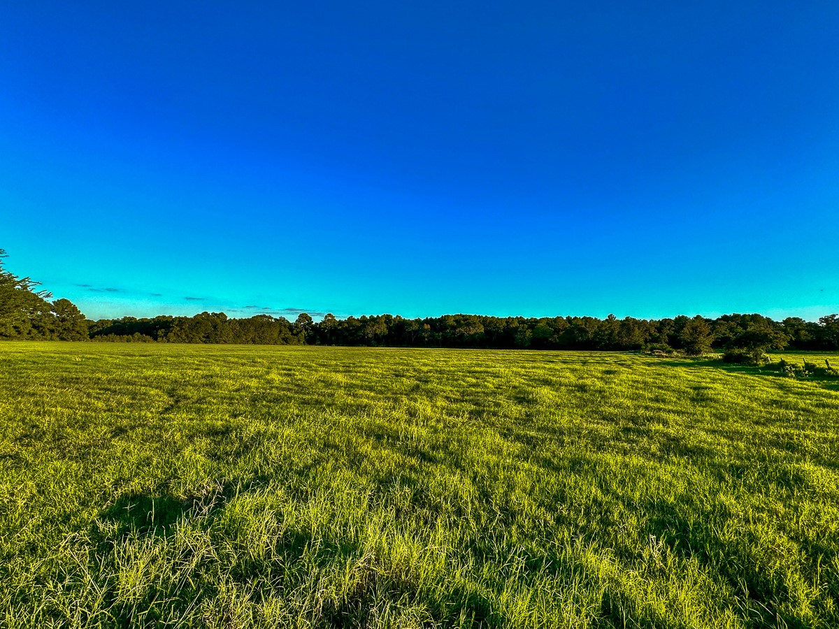 T-5 Hoke Road Richards, TX 77873 - Photo 5 of 33