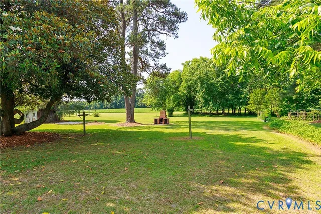 a view of a park with large trees and plants
