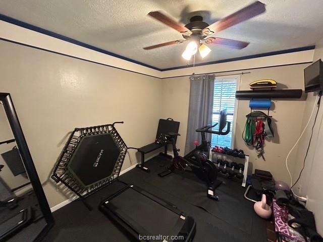 3917 Seminole Court Bryan, TX 77802 - Photo 15 of 20