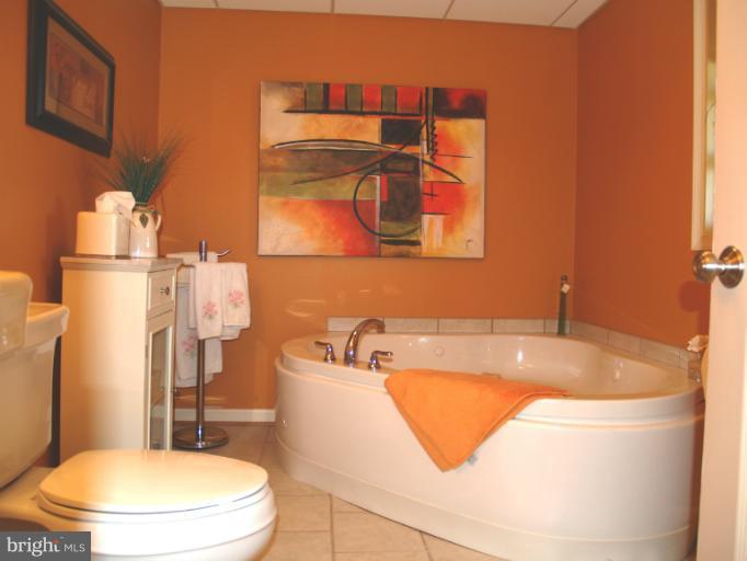 504 Buffalo Road Mount Airy, MD 21771 - Photo 4 of 27 Bath
