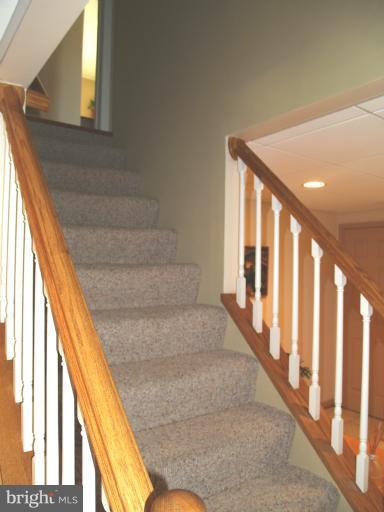 504 Buffalo Road Mount Airy, MD 21771 - Photo 7 of 27 Basement