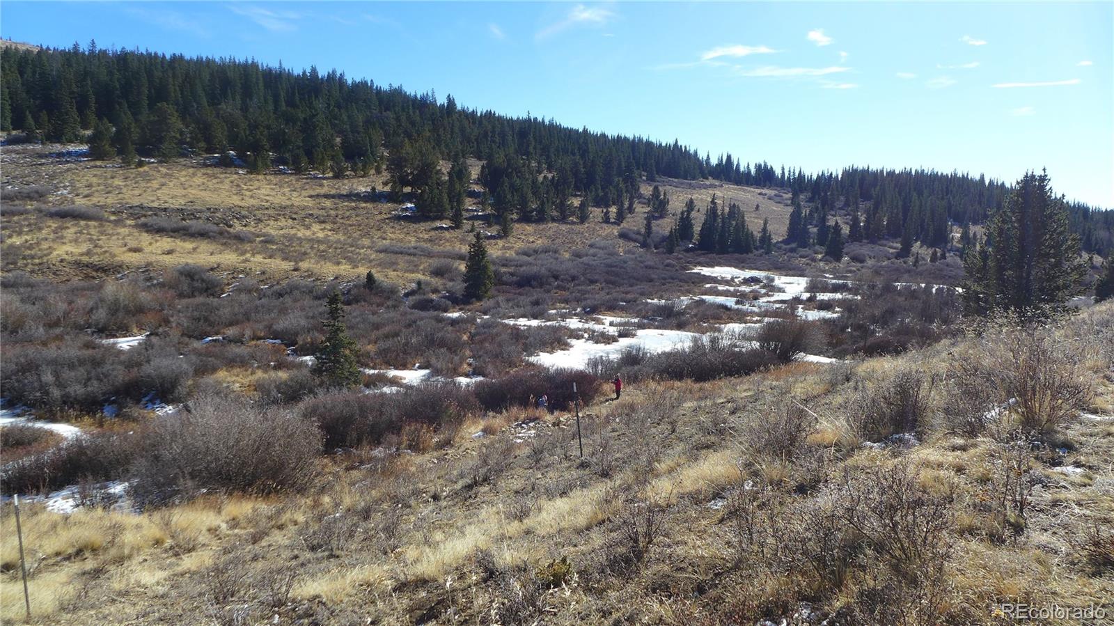 0 Snow Cap Peaks Road Fairplay, CO 80440 - Photo 6 of 20