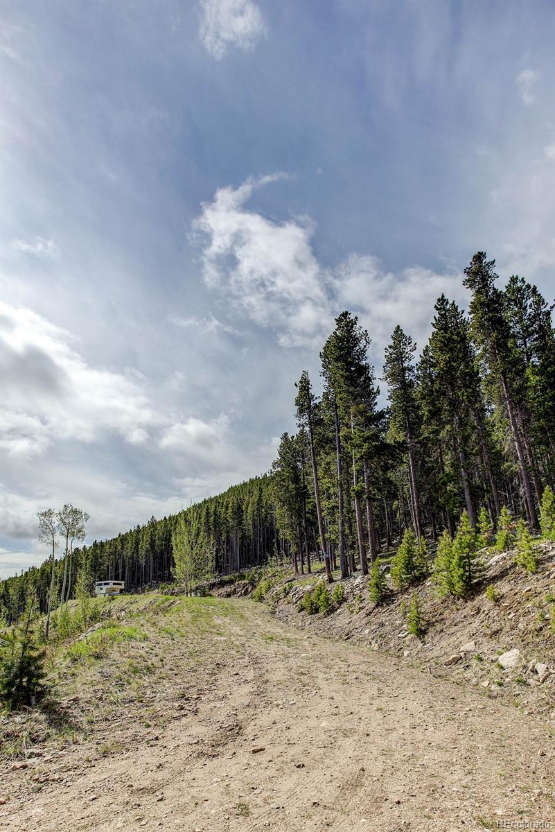 Bear Paw Road Golden, CO 80403 - Photo 16 of 18 Gallery Image 16