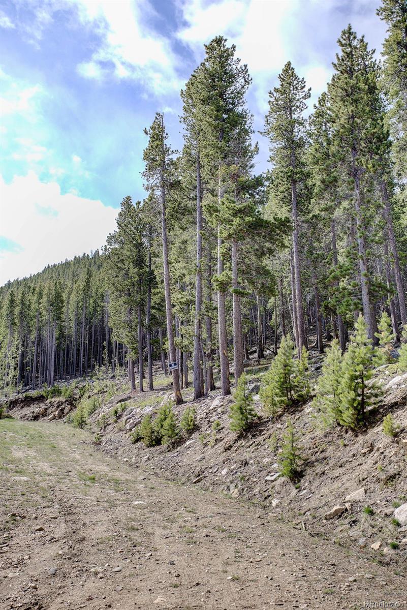 Bear Paw Road Golden, CO 80403 - Photo 17 of 18 Gallery Image 17