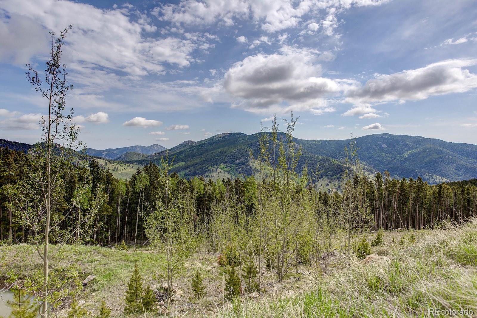 Bear Paw Road Golden, CO 80403 - Photo 3 of 18 Gallery Image 3