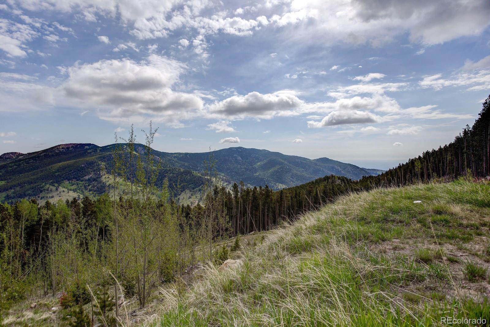 Bear Paw Road Golden, CO 80403 - Photo 4 of 18 Gallery Image 4