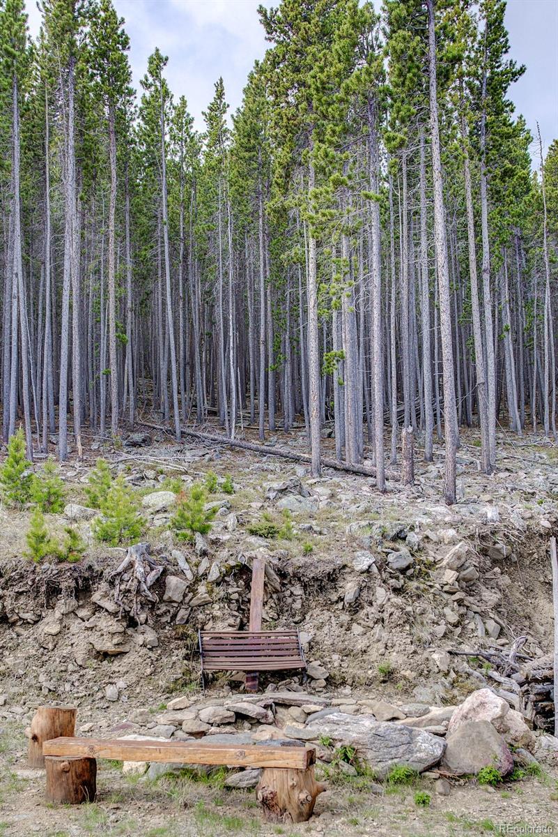 Bear Paw Road Golden, CO 80403 - Photo 8 of 18 Gallery Image 8