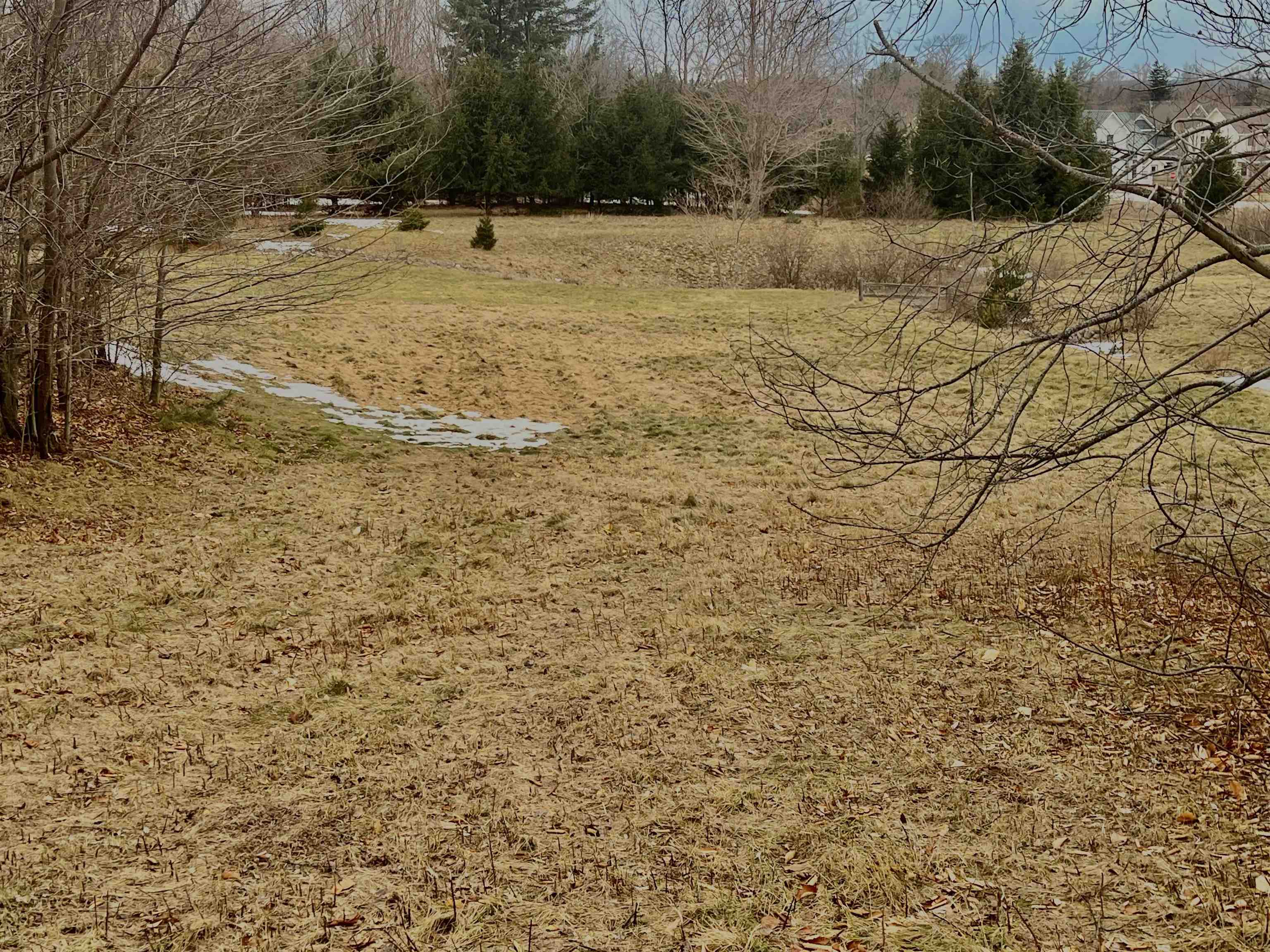 73 South Roen Drive, Unit LOT: 73 Empire, MI 49630 - Photo 9 of 12