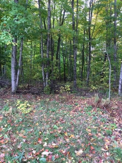 3676n Lang Road Gulliver, MI 49840 - Photo 35 of 42 Gallery Image 35