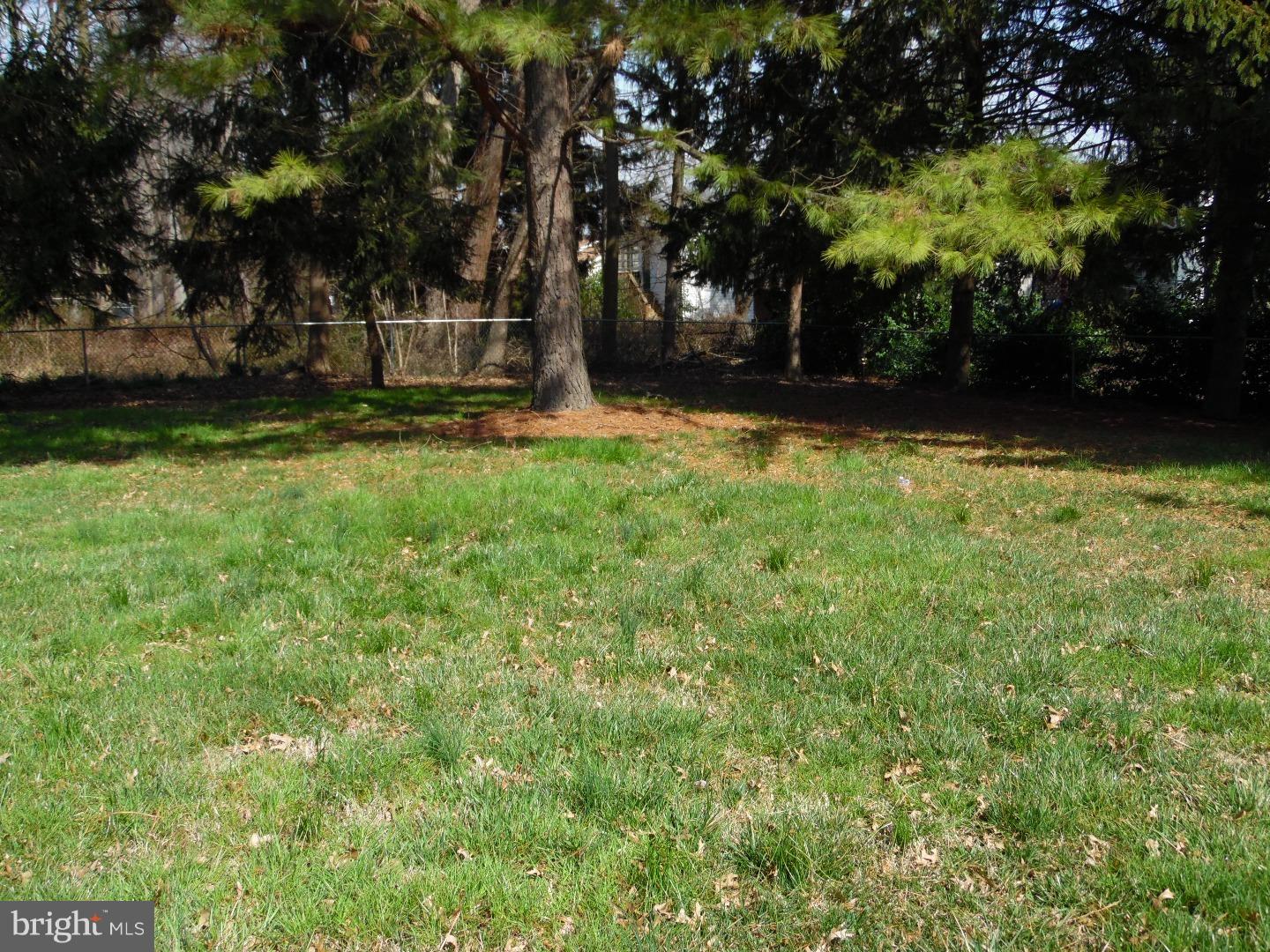 959 Old Harmony Road Newark, DE 19713 - Photo 16 of 23 Back Yard