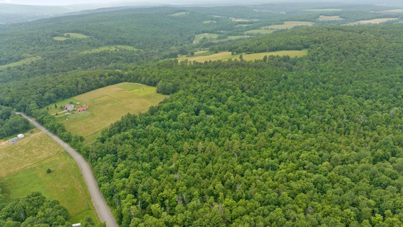 99 Richhill Road Whitney Point, NY 13862 - Photo 4 of 12