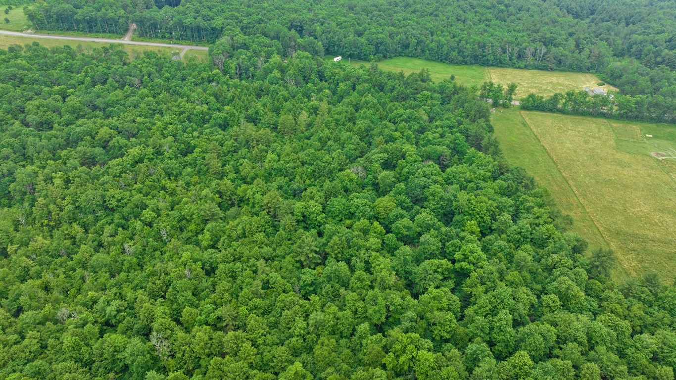 99 Richhill Road Whitney Point, NY 13862 - Photo 7 of 12