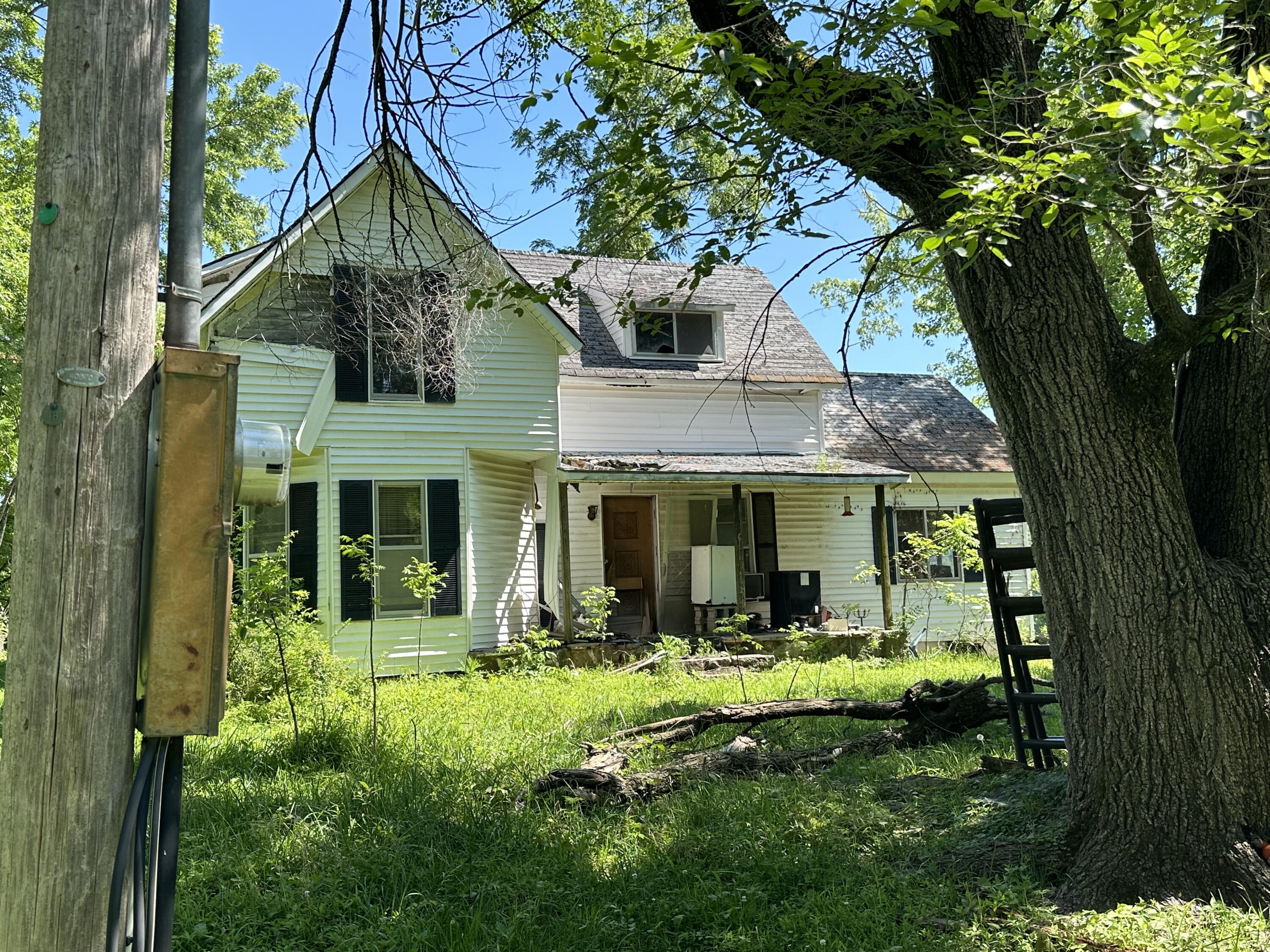 443 Marsha Road Billings, MO 65610 - Photo 9 of 25 IMG_1235-a