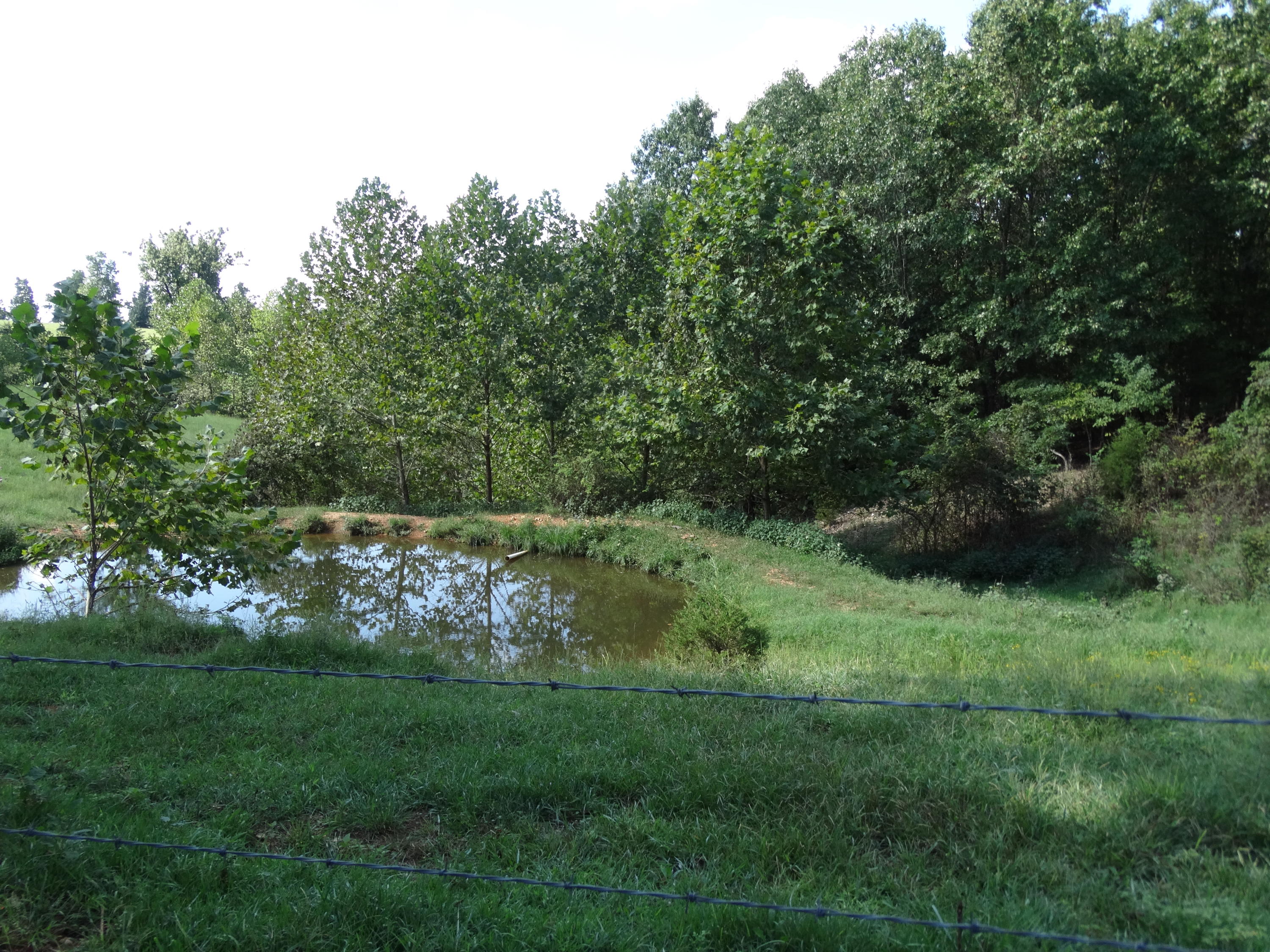 6 Sycamore Ranch Road Galena, MO 65656 - Photo 1 of 1 DSC05931
