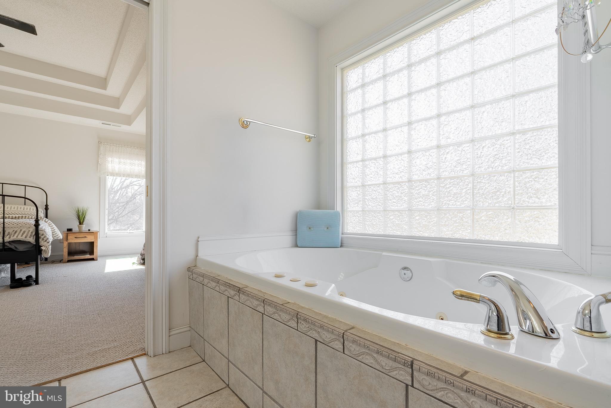 3741 Davis Road Penn Laird, VA 22846 - Photo 32 of 93 Primary Bathroom