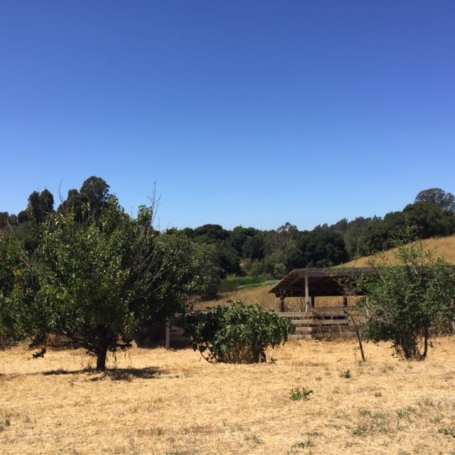 275 Casserly Road Watsonville, CA 95076 - Photo 5 of 12 Gallery Image 5