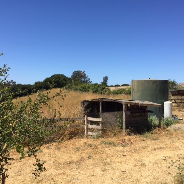 275 Casserly Road Watsonville, CA 95076 - Photo 7 of 12 Gallery Image 7