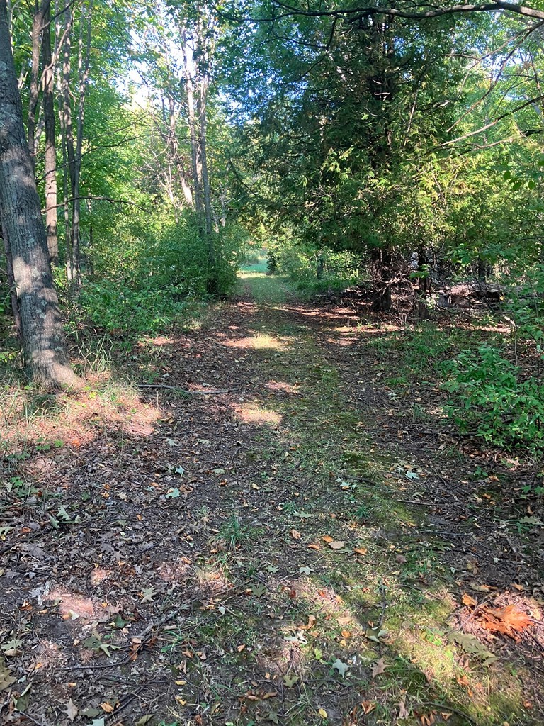 Tbd Beach Road Sister Bay, WI 54234 - Photo 4 of 11