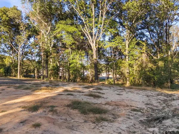 a view of a yard with large trees