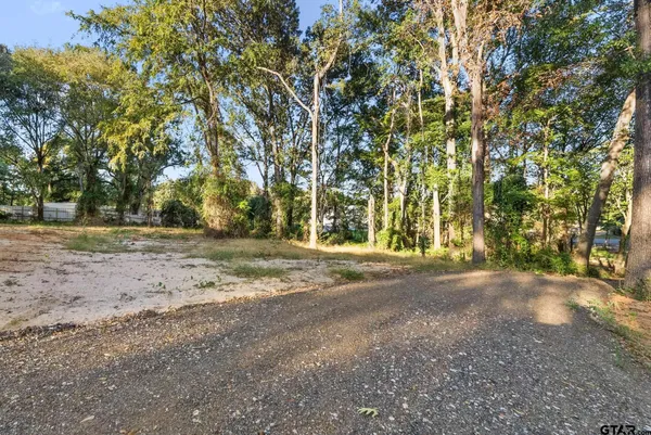 a view of dirt yard with a trees