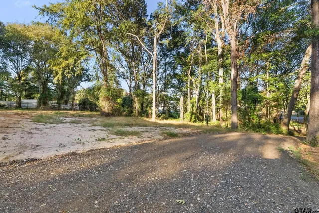 a view of dirt yard with a trees