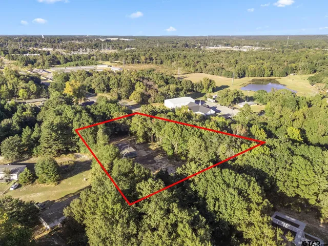 an aerial view of residential houses with outdoor space and trees