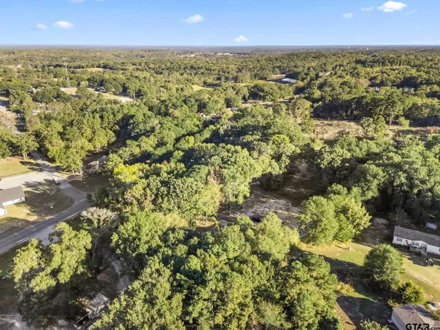 an aerial view of residential houses with outdoor space and trees