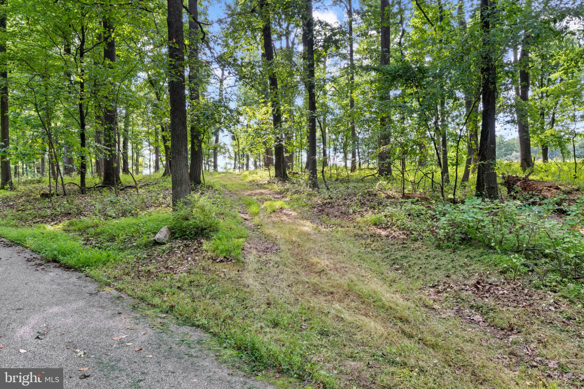 14002 Longnecker Road Reisterstown, MD 21136 - Photo 12 of 14 Gallery Image 12