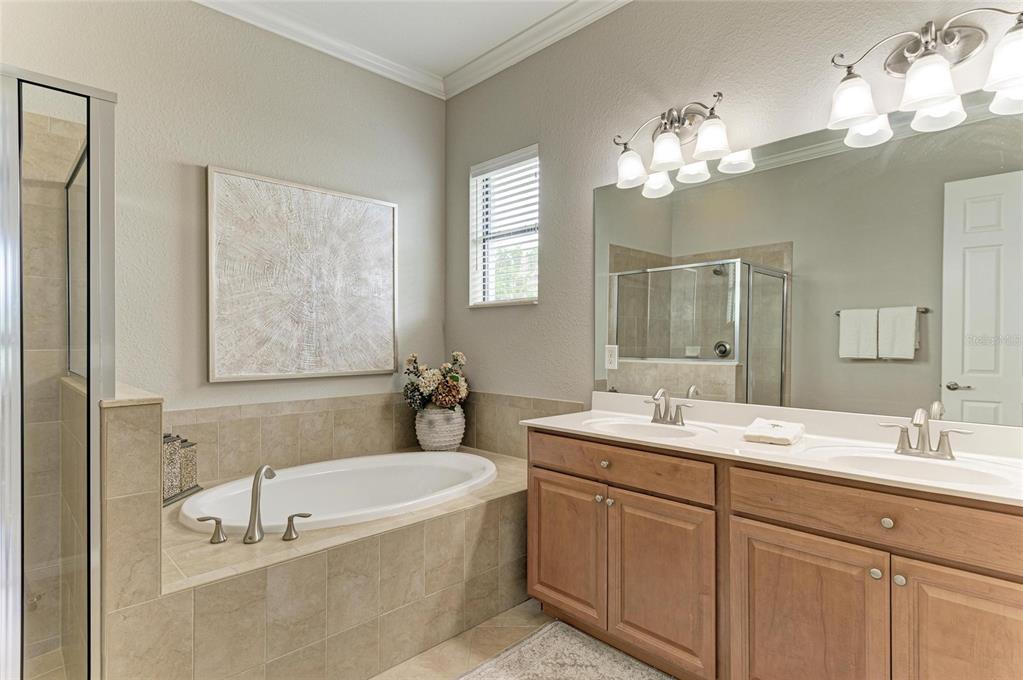 13117 Ramblewood Trail Lakewood Ranch, FL 34211 - Photo 34 of 76 a bathroom with a tub a sink and mirror