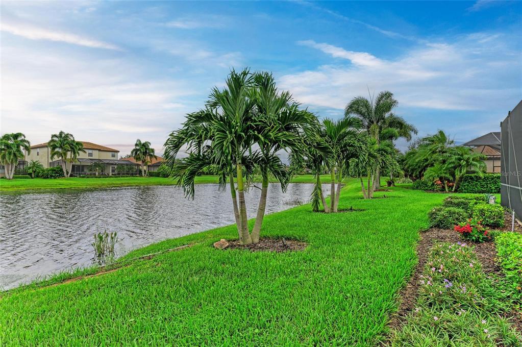 13117 Ramblewood Trail Lakewood Ranch, FL 34211 - Photo 55 of 76 a view of a lake with a garden