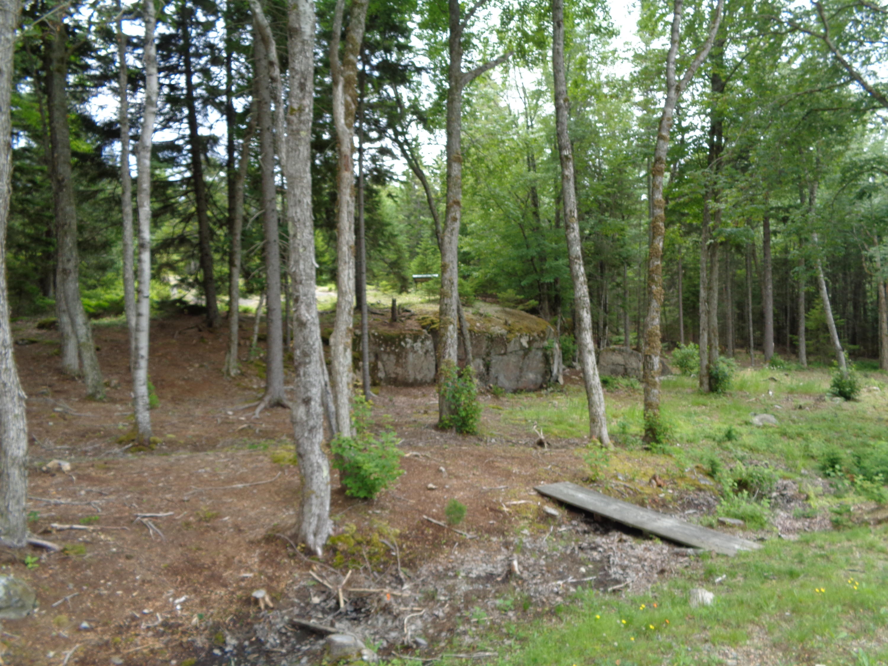 19 Peninsula Road Gouldsboro, ME 04624 - Photo 52 of 72 DSC05273
