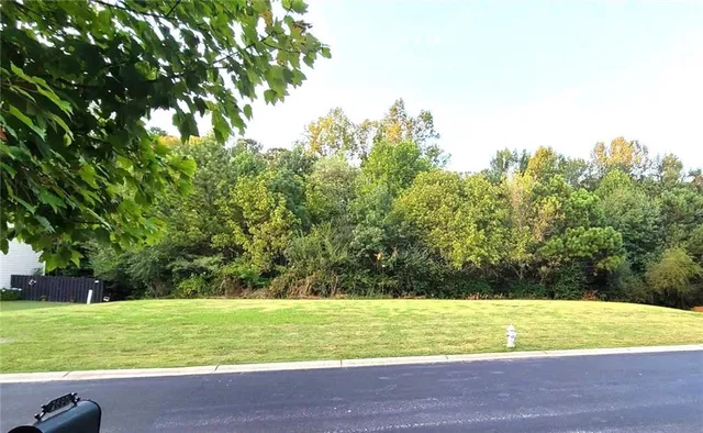 a view of a yard with large trees