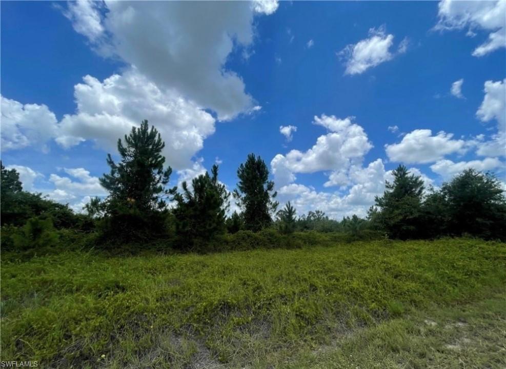 2800 Rita Avenue North Lehigh Acres, FL 33971 - Photo 1 of 2 a view of a yard