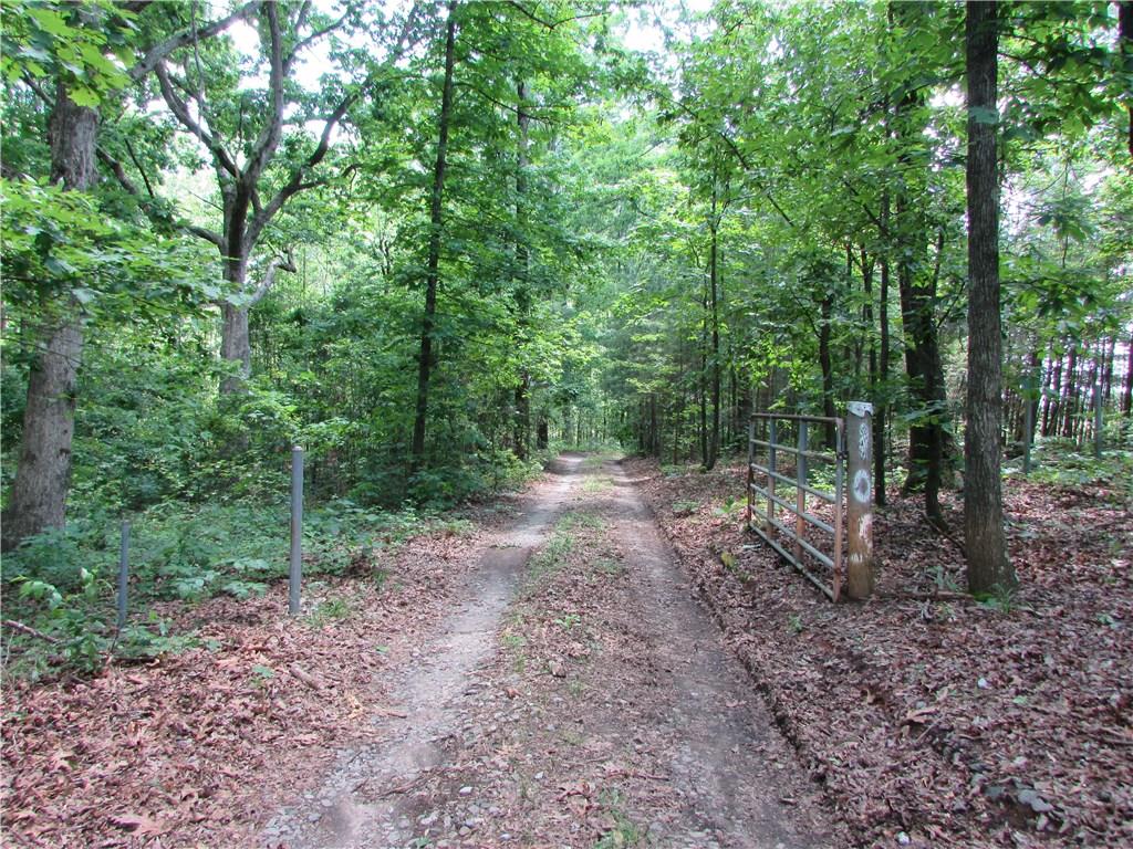 1 Holcomb Road Dawsonville, GA 30534 - Photo 1 of 1 Gallery Image 1