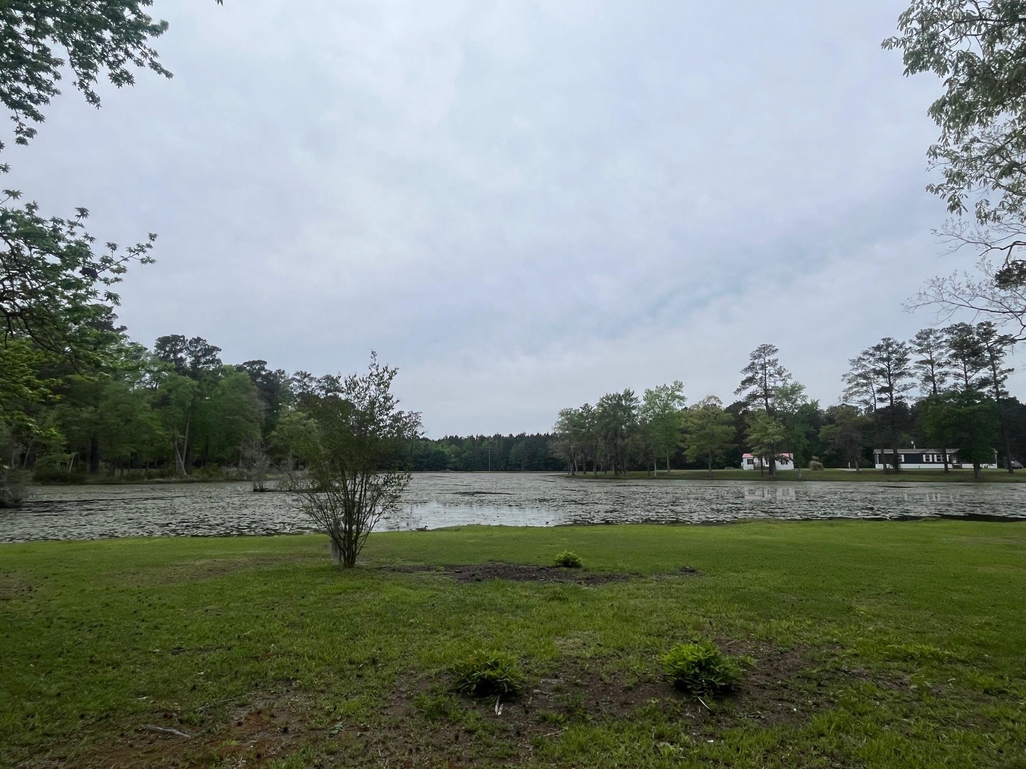 233 Williamson Lake Circle Conway, SC 29526 - Photo 80 of 93