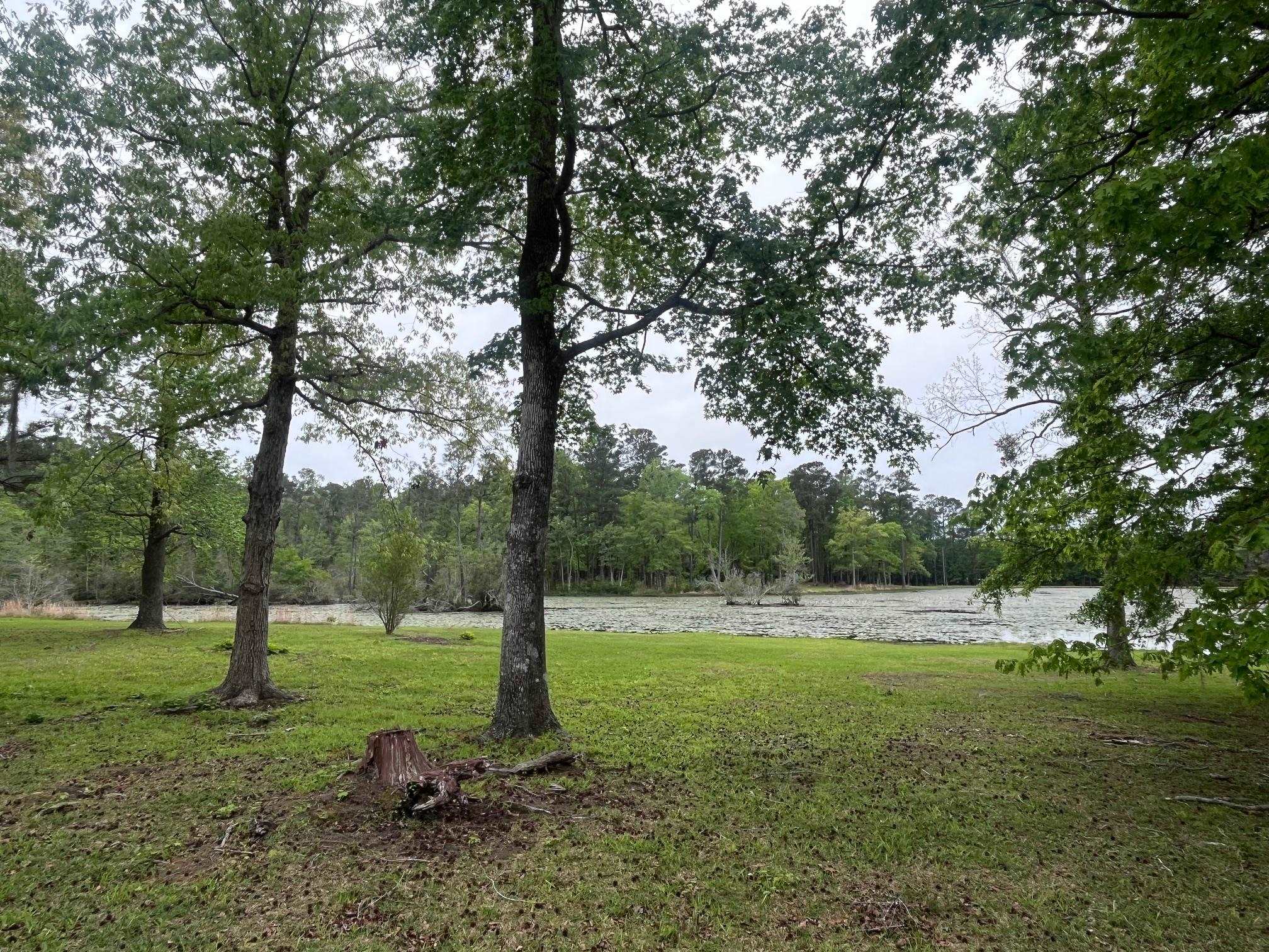233 Williamson Lake Circle Conway, SC 29526 - Photo 82 of 93