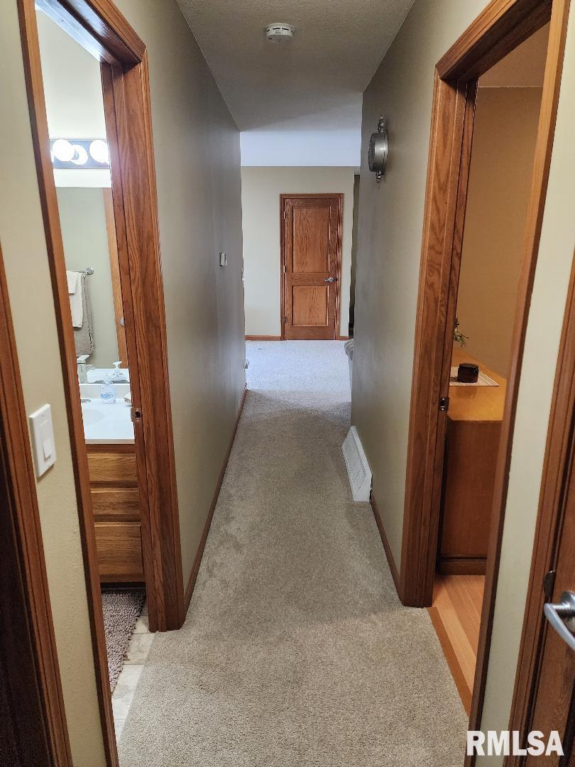 718 Middle Road Camanche, IA 52730 - Photo 18 of 31 Gallery Image 18