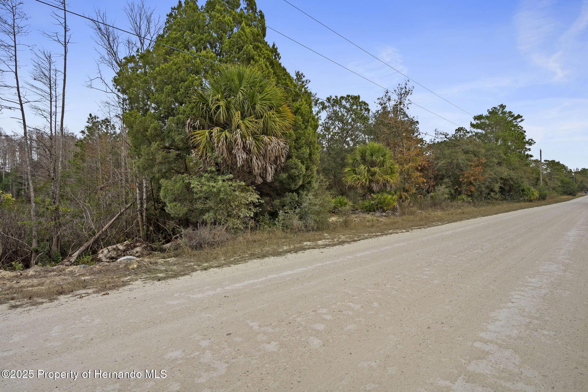 0 Yellowback Road Weeki Wachee, FL 34614 - Photo 2 of 14