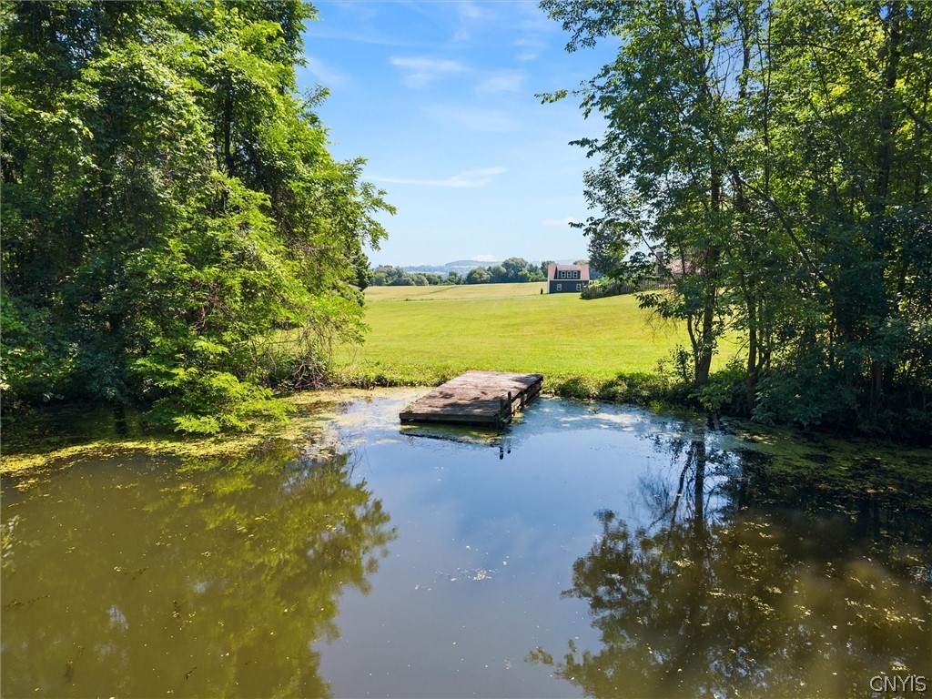 1631 Albring Road Skaneateles, NY 13152 - Photo 43 of 50
