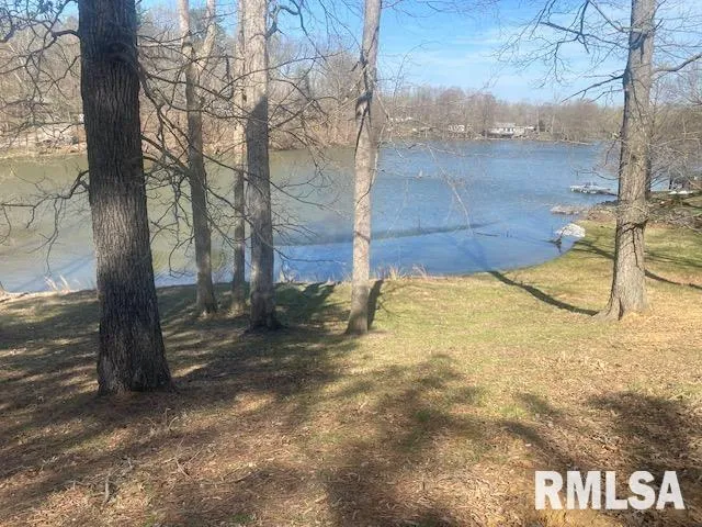 a view of a yard with plants and a large tree