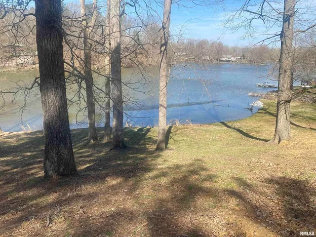 a view of a yard with plants and trees