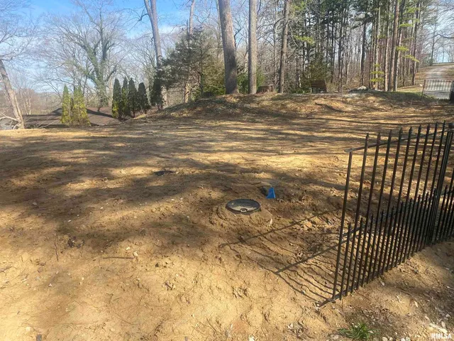 a view of a yard with large trees