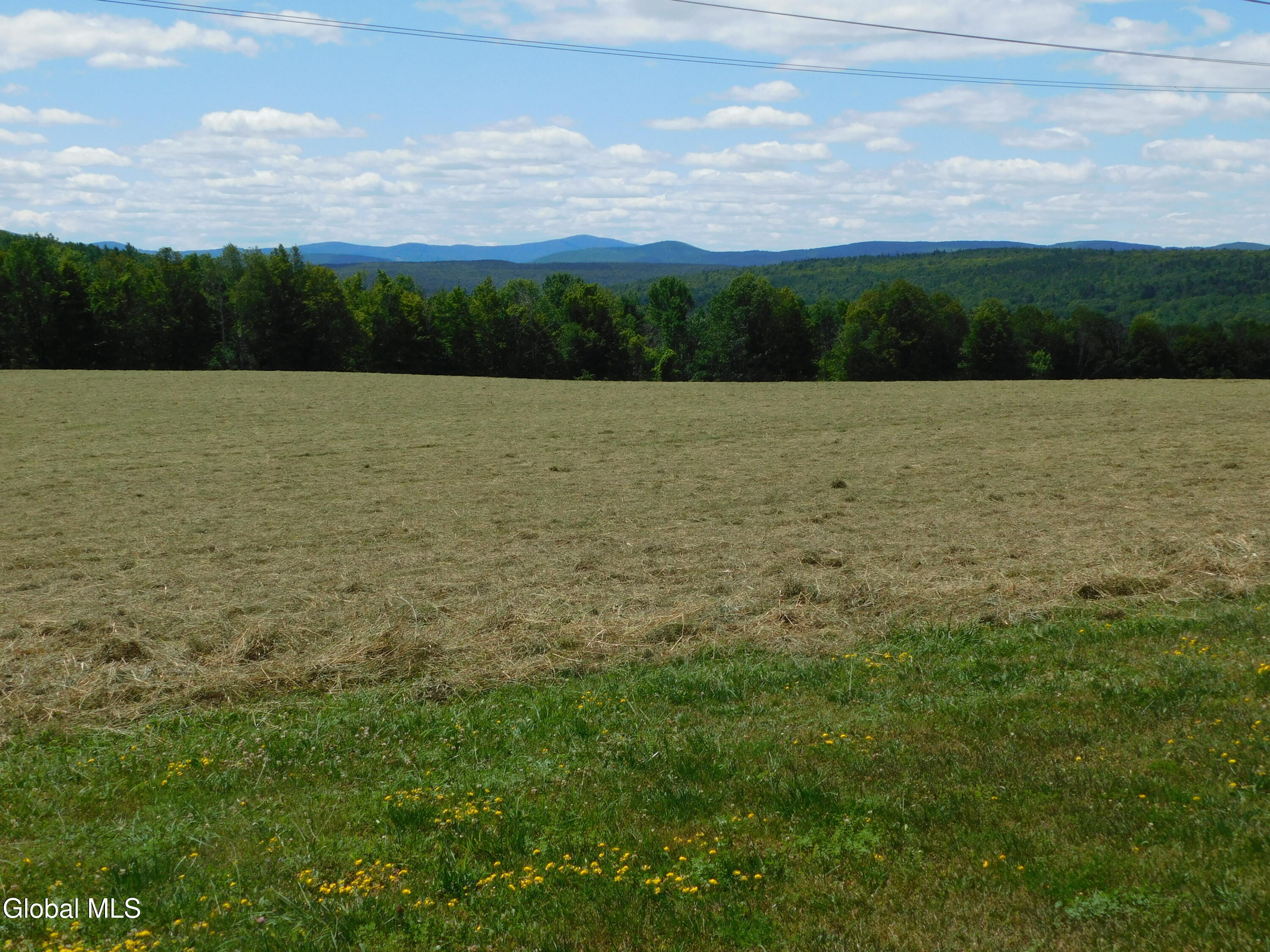 333 Ridge Road Broome, NY 12122 - Photo 28 of 30 DSCN9794